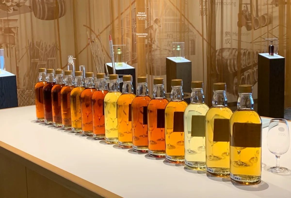 A row of colorful glass bottles displayed in a museum