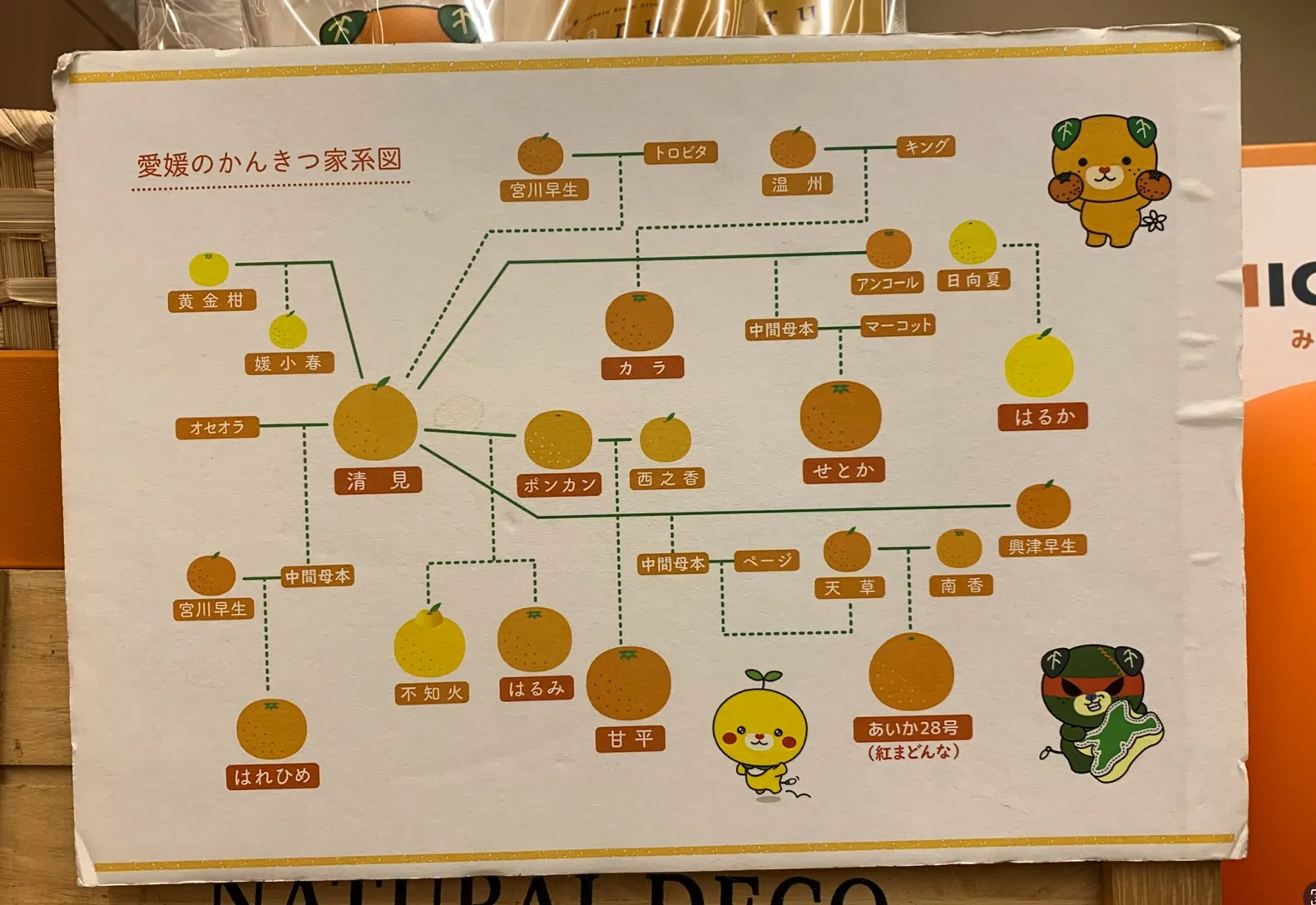 Learning Neo4j: A Japanese Citrus Family Tree